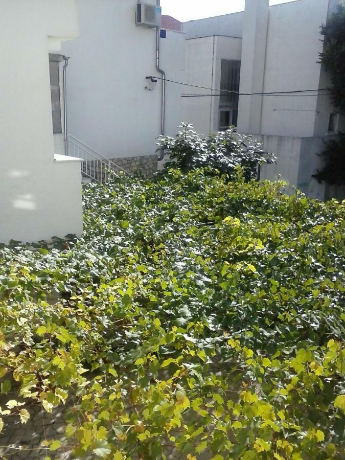 Apartmani Maric Selce Esterno foto